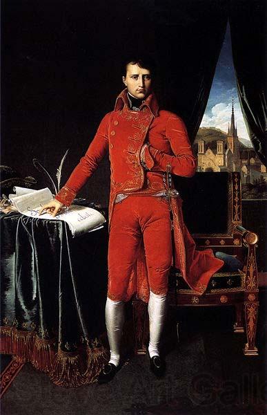 Jean Auguste Dominique Ingres Portrait de Napoleon Bonaparte en premier consul Spain oil painting art